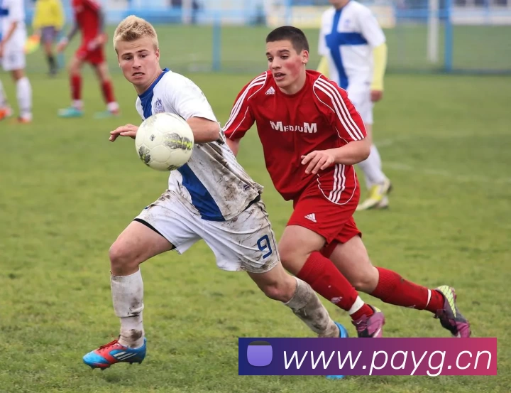 beat·365(中国)官方网站APP 封面图