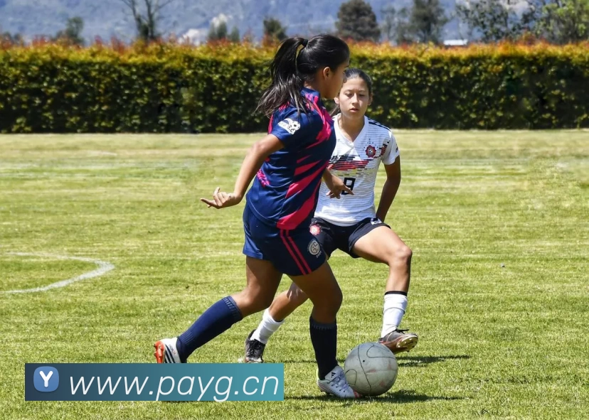 数据防护可视化